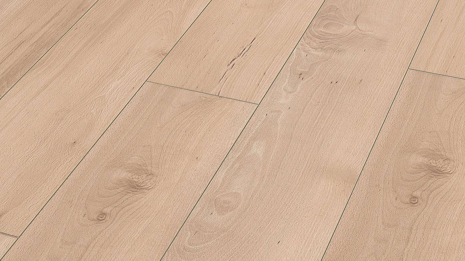 Meister超耐磨地板、複合實木地板、實木地板，線上展示中心